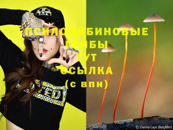 ешки Абинск