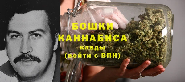 сатива Абдулино