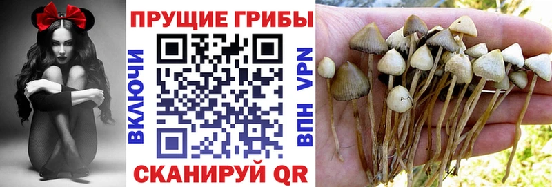 это наркотические препараты  ссылка на мегу ссылки  Черноголовка  Галлюциногенные грибы Magic Shrooms 